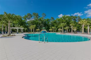 17576 Terrazzo Way, Land O Lakes, FL 34638 - Photo 79