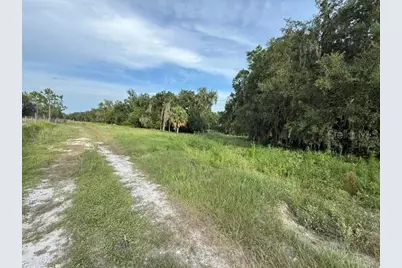 Pool Branch Road, Fort Meade, FL 33841 - Photo 9