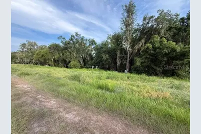 Pool Branch Road, Fort Meade, FL 33841 - Photo 1
