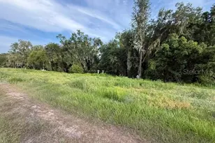 Pool Branch Rd, Fort Meade, FL 33841 - Photo 1