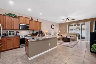 10411 Red Carpet Ct, Riverview, FL 33578 - Photo 11