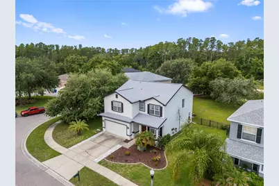6053 Everlasting Place, Land O Lakes, FL 34639 - Photo 53