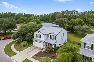 6053 Everlasting Pl, Land O Lakes, FL 34639 - Photo 53