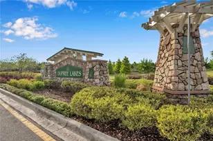 6053 Everlasting Pl, Land O Lakes, FL 34639 - Photo 61