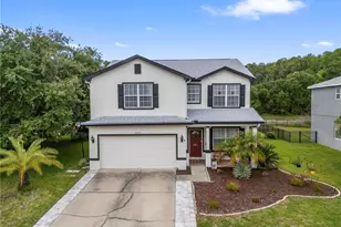 6053 Everlasting Pl, Land O Lakes, FL 34639 - Photo 59