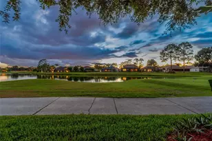3553 Morgan's Bluff Ct, Land O Lakes, FL 34639 - Photo 79