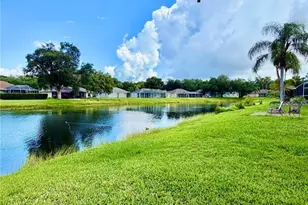 3415 Silver Meadow Way, Plant City, FL 33566 - Photo 47