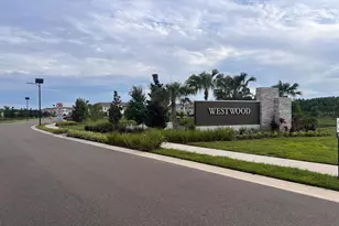 17461 Spanish Oak Loop, Land O Lakes, FL 34638 - Photo 39