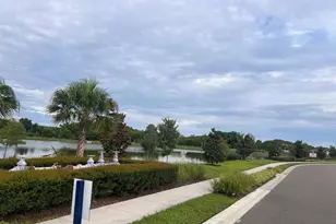 17461 Spanish Oak Loop, Land O Lakes, FL 34638 - Photo 41