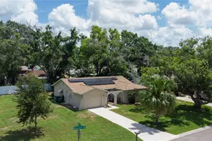 160 Meadowlark Dr, Safety Harbor, FL 34695 - Photo 47