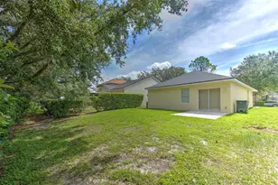 5843 Wrenwater, Lithia, FL 33547 - Photo 19
