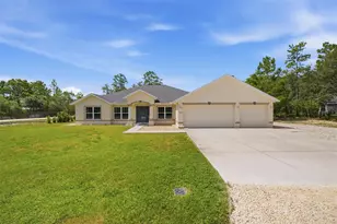 11020 Sage Thrasher Ave, Weeki Wachee, FL 34614 - Photo 3