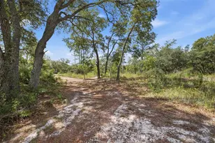 11020 Sage Thrasher Ave, Weeki Wachee, FL 34614 - Photo 57