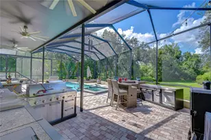1009 Emerald Creek Dr, Valrico, FL 33596 - Photo 31