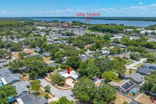 2409 Osprey Ave, Palm Harbor, FL 34683 - Photo 59