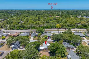 2409 Osprey Ave, Palm Harbor, FL 34683 - Photo 57