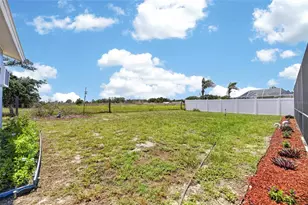 10313 Tarragon Dr, Riverview, FL 33569 - Photo 75