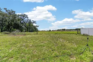 10313 Tarragon Dr, Riverview, FL 33569 - Photo 79