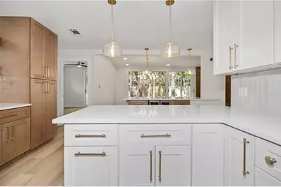 426 Fern Cliff Avenue, Tampa, FL 33617 - Photo 25