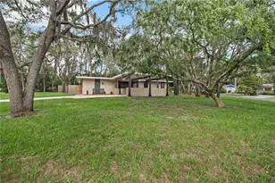 426 Fern Cliff Ave, Tampa, FL 33617 - Photo 47
