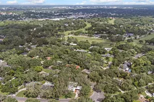 426 Fern Cliff Ave, Tampa, FL 33617 - Photo 59