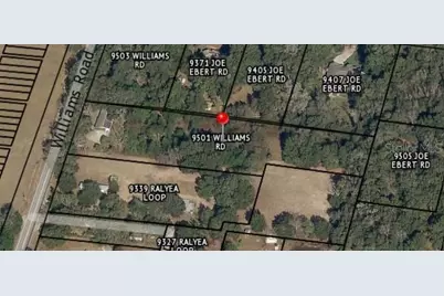 9501 Williams Road, Seffner, FL 33584 - Photo 1