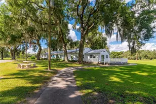 36957 Grace Ave, Zephyrhills, FL 33542 - Photo 41