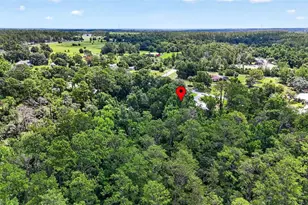 4243 Nancy Creek Blvd, Brooksville, FL 34602 - Photo 71