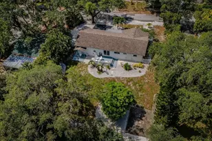 412 Pennsylvania Ave, Palm Harbor, FL 34683 - Photo 3