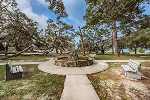 412 Pennsylvania Ave, Palm Harbor, FL 34683 - Photo 43