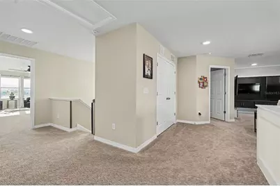 3117 King Fern Drive, Wimauma, FL 33598 - Photo 21