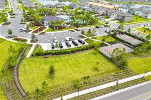 3117 King Fern Dr, Wimauma, FL 33598 - Photo 79