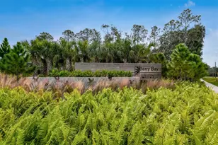 3117 King Fern Dr, Wimauma, FL 33598 - Photo 75