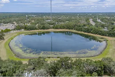 5904 Shell Ridge Drive, Lithia, FL 33547 - Photo 99