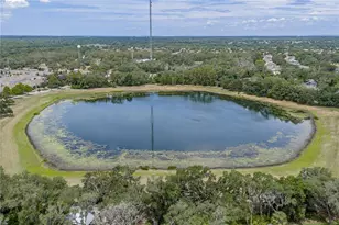 5904 Shell Ridge Dr, Lithia, FL 33547 - Photo 99