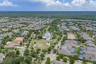 5904 Shell Ridge Dr, Lithia, FL 33547 - Photo 89
