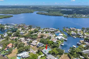 121 Carlyle Dr, Palm Harbor, FL 34683 - Photo 59
