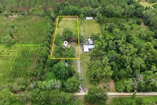 13216 NE 140th St, Waldo, FL 32694 - Photo 29