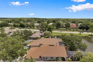 1469 Riverdale Dr, Oldsmar, FL 34677 - Photo 59