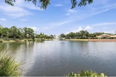 1469 Riverdale Drive, Oldsmar, FL 34677 - Photo 3