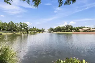 1469 Riverdale Dr, Oldsmar, FL 34677 - Photo 3