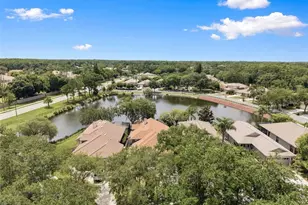 1469 Riverdale Dr, Oldsmar, FL 34677 - Photo 57