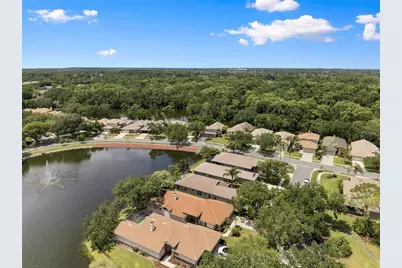 1469 Riverdale Drive, Oldsmar, FL 34677 - Photo 49