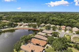 1469 Riverdale Dr, Oldsmar, FL 34677 - Photo 51
