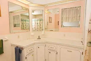 26 Hamilton Ln, Palm Harbor, FL 34684 - Photo 23