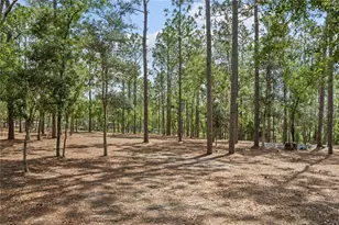 12929 SW 89th St, Dunnellon, FL 34432 - Photo 59