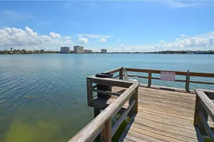 6104 Palma Del Mar Blvd S, Saint Petersburg, FL 33715 - Photo 29