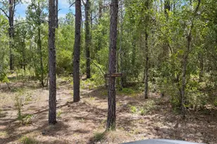15624 Peace Blvd, Spring Hill, FL 34610 - Photo 45