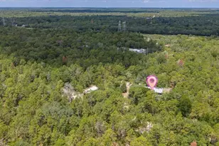 15624 Peace Blvd, Spring Hill, FL 34610 - Photo 51