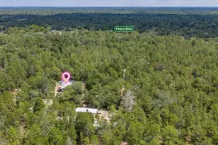 15624 Peace Blvd, Spring Hill, FL 34610 - Photo 47